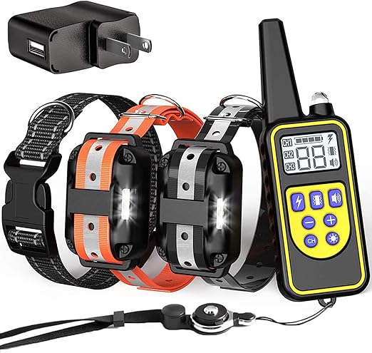 great pyrenees house dog