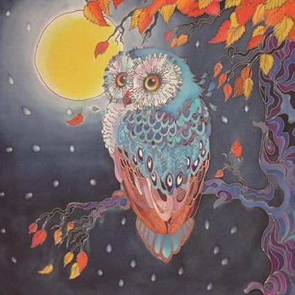 Amazon Com Usstore 5d Diamond Painting Owl Diamond Picture