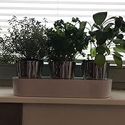 Erde für kräuter Erde für kräuter