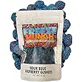 Sour Gushers, Super Sour Viral Gushers, Irresistable Extra Sour Gummy Candy, Blue Raspberry Flavor, Wild Cherry Flavor, Tiktok Viral Candy Sweet & Sour [Choose The Flavor & Size] (4 oz, Sour Blue Raspberry)