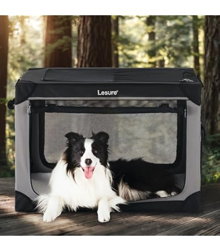 DOG TRIXIE 8 ft. x 4 ft. x 4.5 ft. Deluxe Welded Wire Dog Kennel