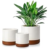 vancasso 6"+8"+10" Ceramic Pot for Plants, Large Outdoor Indoor Planter Pots with Drainage Holes, Set of 3, Khaki