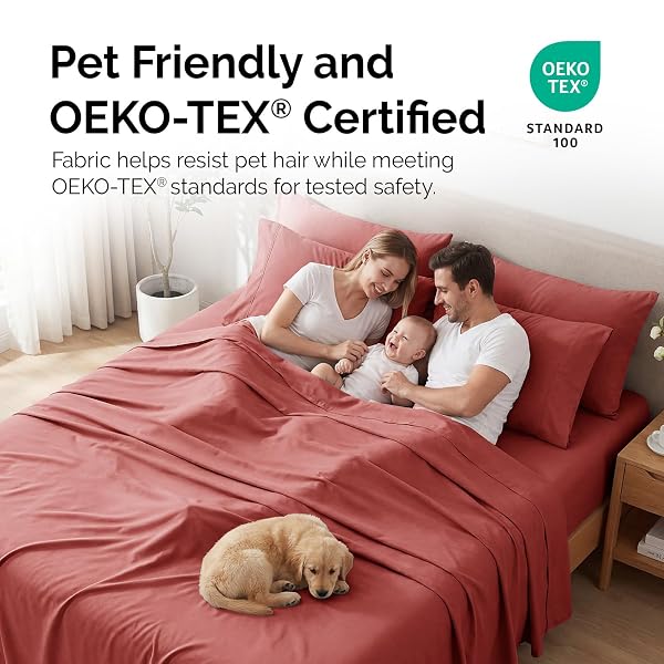 SOUTHSHORE FINE LIVING, INC. 6 PIECE 21 INCH TERRACOTTA SHEETS QUEEN SIZE BED SET, EXTRA DEEP POCKET QUEEN SHEETS SET FOR THICK MATTRESS, SOFT EASY CARE MICROFIBER, PET HAIR RESISTANT BEDDING, MARSALA