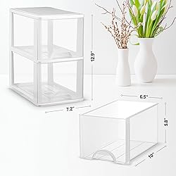 Plastic Small 2-Drawer Storage Organizer, Slim