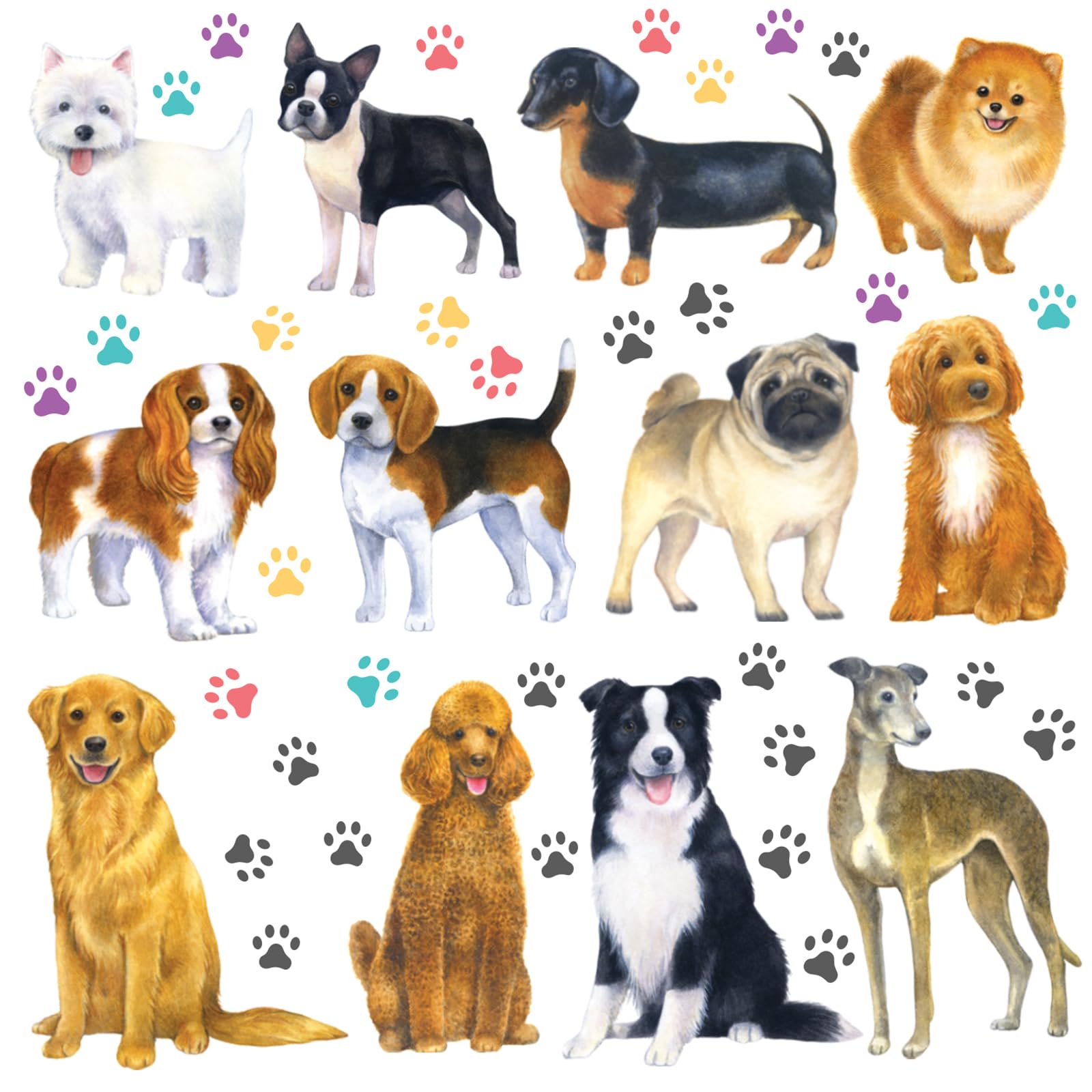 DECOWALL DS-8045 12 Dogs Wall Stickers Puppy Pet Paw Print Learning Dog Breed Decals for Kids Nursery Bedroom Living Room Art