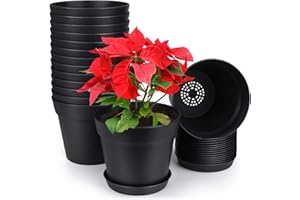 homenote Pots for Plants, 15 Pack 6 Inch Plastic Planters with Multiple Drainage Holes and Tray,Plant Pots for All Home Garden Flowers Succulents (Black)