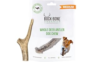 Buck Bone Organics Deer Antler Dog Bones, Premium Grade A - Natural Dog Treat, Made in Montana (Medium)