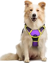 rabbitgoo Dog Harness Medium No Pull Reflective Adjustable Padding Purple Yellow