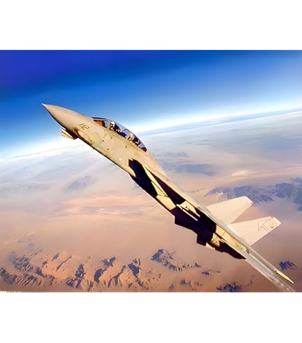 ZYGNBHL Poster Grumman F-14 Tomcat