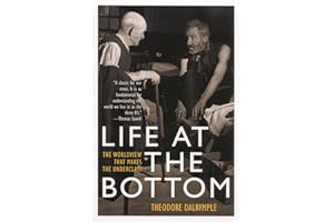 Life at the Bottom: The Worldview That Makes the Underclass
