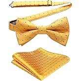 HISDERN Bow Ties for Men Pre-Tie Bow Tie and Pocket Square Set Bowtie Formal Tuxedo Wedding Bowties Handkerchief Set