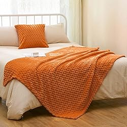 Vessia Flannel Fleece Throw Blanket(50x71inch) with