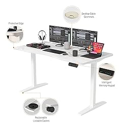 Monomi Height Adjustable Electric Standing Desk, 55