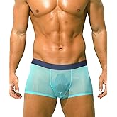 PAIZH Mens Sexy See Through Boxers Ice Silk Sheer Underwear Trunks Stretch Ultra Thin Bulge Pouch Boxer Briefs