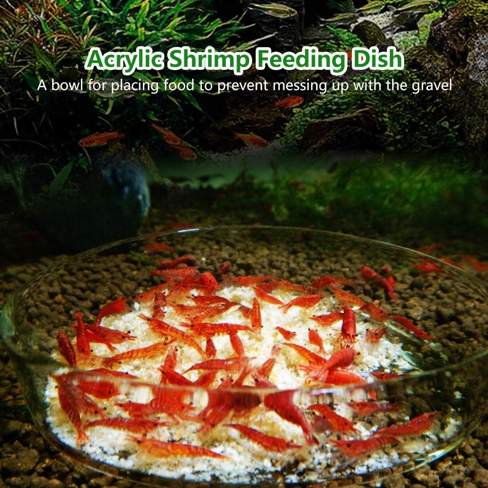 Amazon Pssopp エビ給餌皿 水槽用 魚 エビ 餌入れ 餌やり器 魚エサ皿 給餌器 水槽給食用皿 食糧皿 食器 水槽用 フィーダー 水族館 水槽 魚タンクに最適 アクアリウム 熱帯魚 アクリル Pssopp 飼育セット 通販