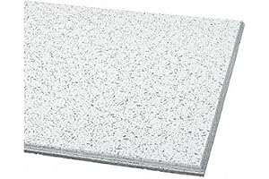 Armstrong Ceiling Tiles; 2x2 Ceiling Tiles - 16 pc White; Acoustic Ceilings for Suspended Grid; CORTEGA 2195