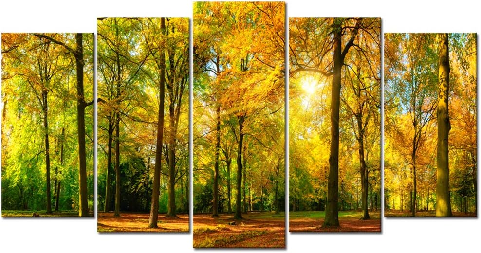 Visual Art Decor 5 Pieces Large Canvas Prints Autumn Sunshine Forest Trees Painting Landscape Picture Wall Art Framed and Stretched Artwork for Home Living Room Guest Bedroom Decoration (01 Fall)