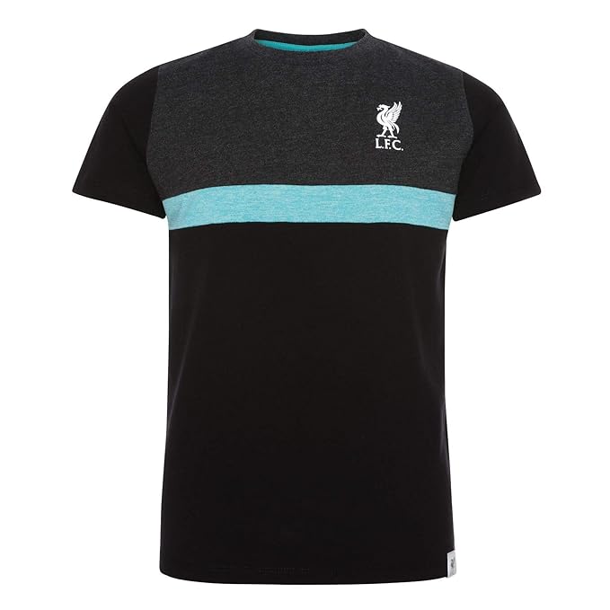 liverpool fc junior shirt