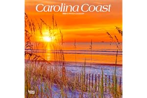 Carolina Coast | 2026 12 x 24 Inch (Hanging) Monthly Square Wall Calendar | Plastic-Free | BrownTrout | USA United States of America Southeast State Nature