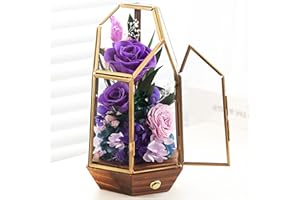 Agrul Mothers Day Flowers Gifts for Mom Grandma,Forever Real Preserved Roses in Glass Dome,Roses Gifts for Wife Women Best Friend/Purple
