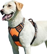 Eagloo Dog Harness Large No Pull Front Back Clips Reflective Orange L