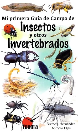 Download Mi primera guía de campo de insectos y otros invertebrados PDF