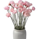 MIHUAGE Dried Flower 30PCS Daisy Bouquet Preserved Chrysanthemum Dry Flower for Vase Home décor Party DIY Arrangement Wheat Straw Bulk (Light Pink)