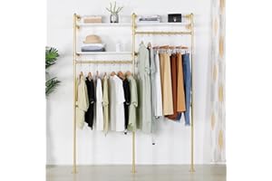 EDCB Gold Industrial Pipe Clothing Rack - Wall Mounted Clothes Rack with 2 Hanging Rods & 2 Tier Shelves, Closet Organizers and Storage for Shop, Retail Display, Bedroom, 79.5 x 59in