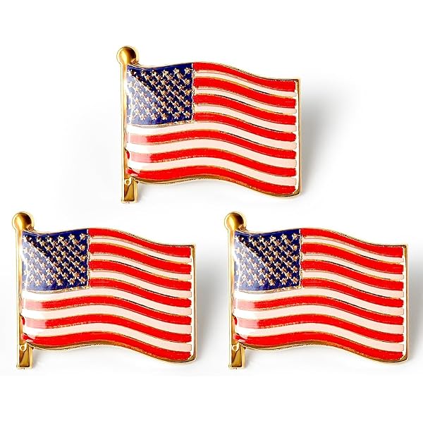 Massachusetts State Lapel Pin MA US Flag American USA Patriot Politics
