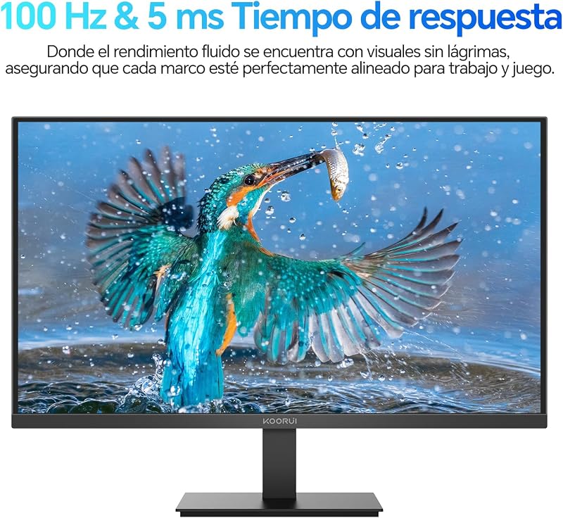 Monitor Oficina 24 Pulgadas VA FHD 100Hz Eye Care Pantalla E2412F