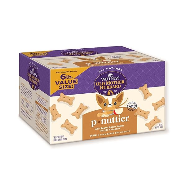 OLD MOTHER HUBBARD WELLNESS P-NUTTIER DOG BISCUITS, NATURAL, TRAINING TREATS, PEANUT BUTTER FLAVOR, MINI SIZE, (6 POUND BOX)