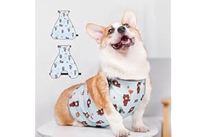 JETTIPLEX Waterproof Belly Shield for Corgis & Dachshunds – Adjustable underbelly Protector. Male/Female Designs. Stays Dry in rain, mud & Grass. Ideal for Sensitive Skin (Blue - Male, XS)