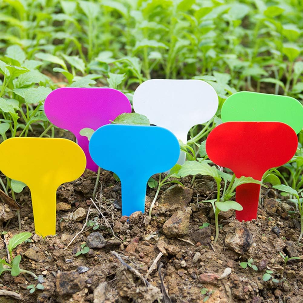 Yozhanhua - 200 etiquetas para plantas, accesorios de jardinería ...