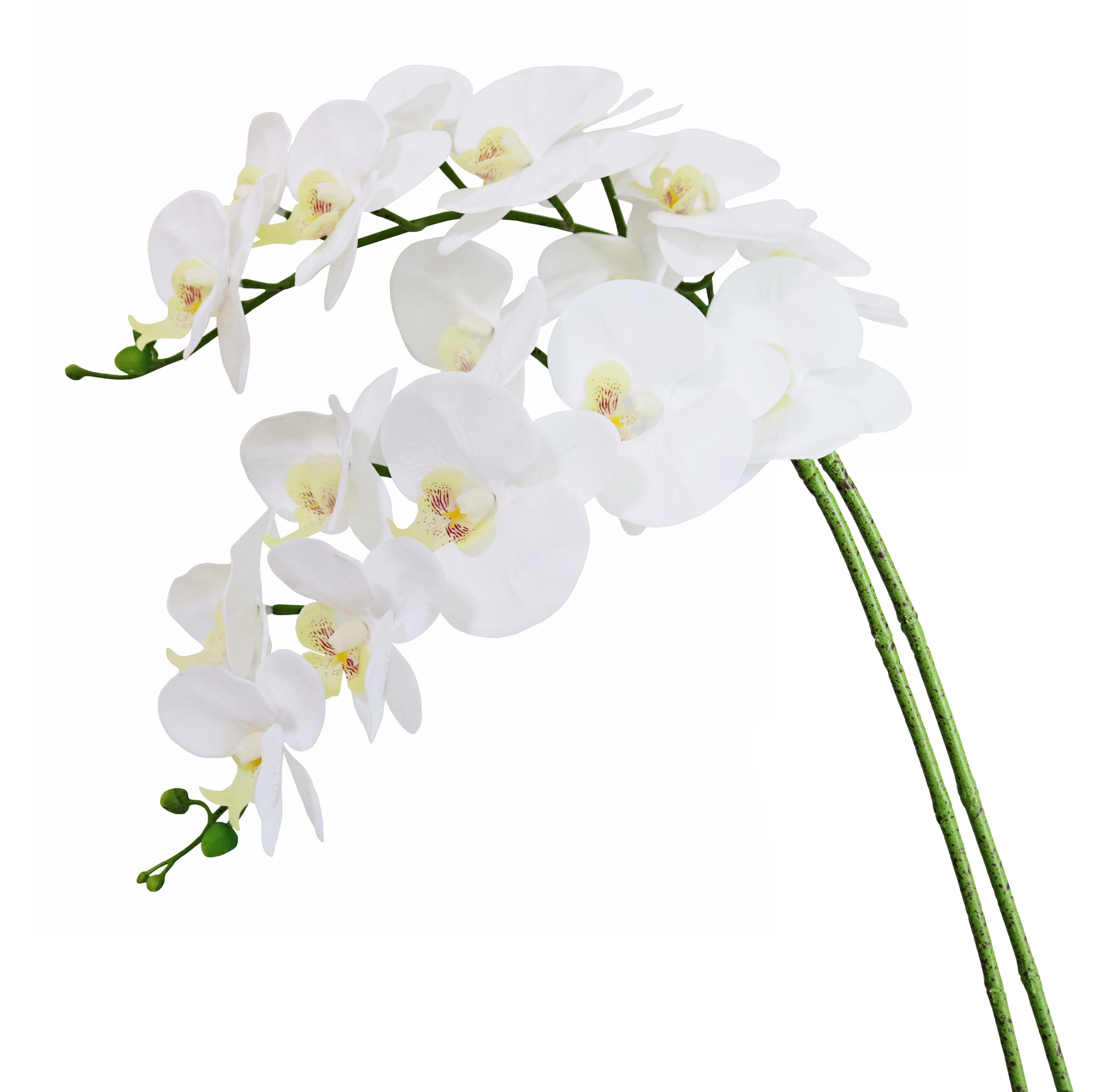 Photo 1 of Htmeing 38 Inch Artificial Phalaenopsis Flowers Branches Real Touch (Not Silk) Orchids Flowers for Home Office Wedding Decoration,Pack of 2 (White)