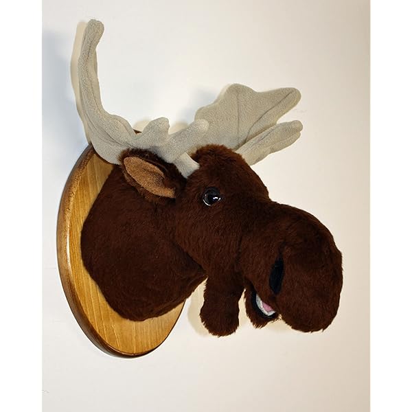 stuffed moose head