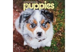 2026 Puppies Mini Wall Calendar