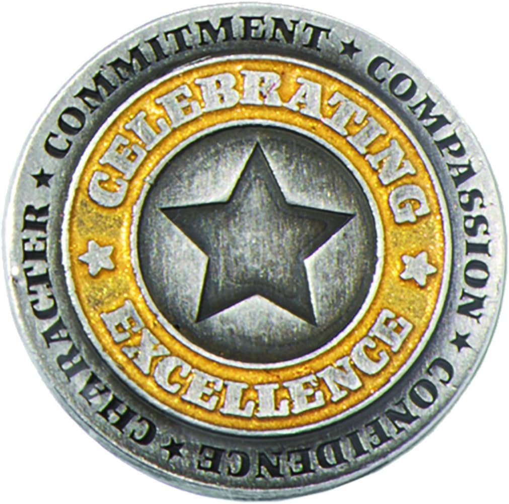 TCDesignerProducts Silver and Gold Celebrating Excellence Award Pins, 6 Pins