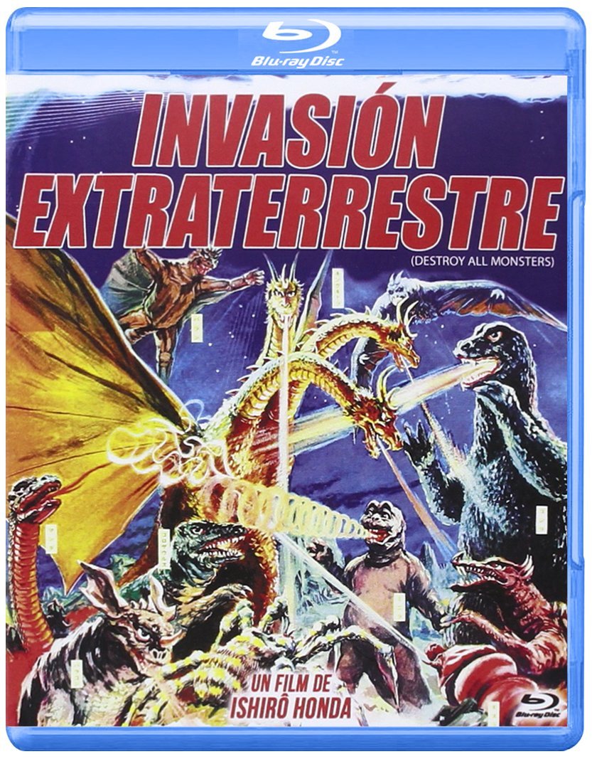 The 6 Best Library Building Curtains