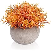 Velener Artificial Boxwood Fake Plant, Mini Sage Green Potted Boxwood Topiary Artificial Plants for Home Decor Indoor, Farmhouse House Plant Office Small Desk Shelf Apartment Coffee Bar(Orange)