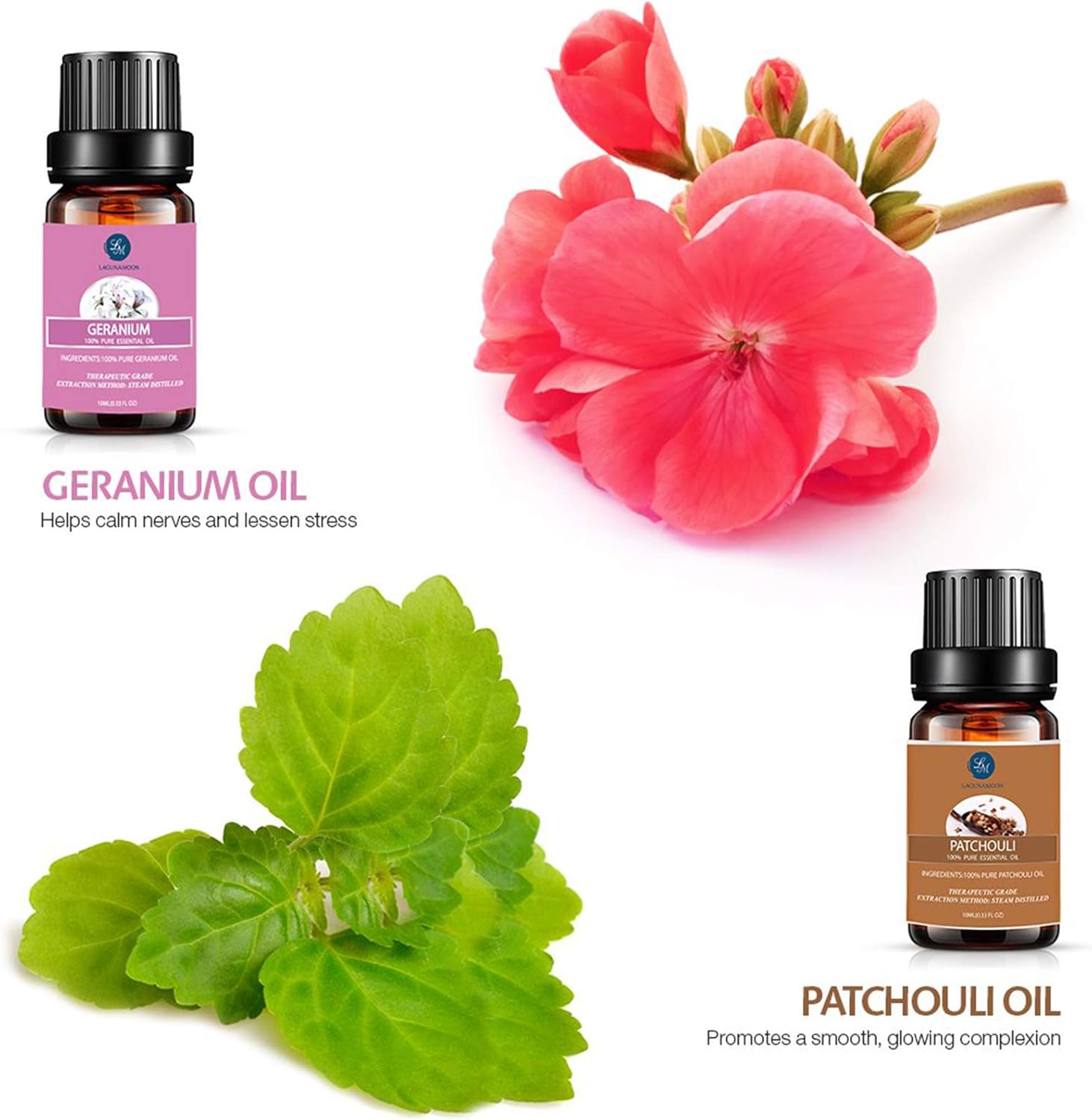 Lagunamoon Essential Oils Gift Set for Diffuser: Health & Personal Care