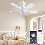 NKPU 36inch Ceiling Fans with Lights and Remote/App