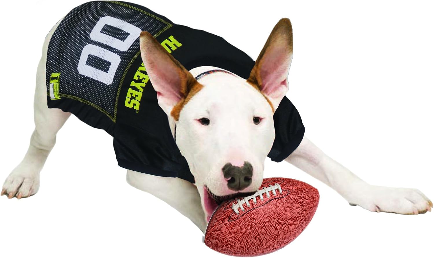 dog college football jerseys