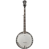 Washburn Americana Series B16K-D 5 String Banjo Sunburst | Flame maple banjo; Bell brass tone ring; Planetary tuners; Includes case