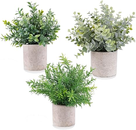 E Bestar Mini Plantes Artificielles En Pot 3 Pack Plantes D Eucalyptus En Plastique Faux Plantes De Romarin Pour La Maison Bureau Cuisine Salle De Bain Jardin Decoration Amazon Fr Cuisine Maison