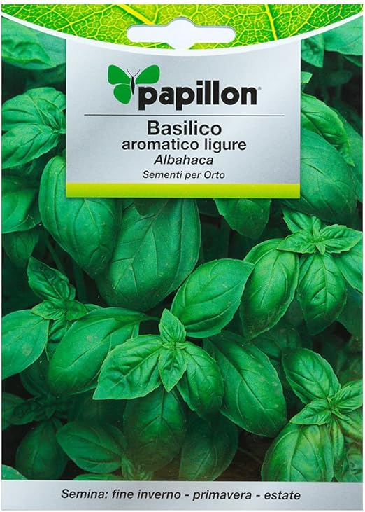 Semillas Aromáticas Albahaca Aromatica (5 Gramos): Amazon.es: Jardín