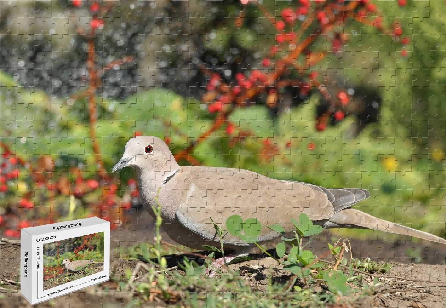 Amazon Com 1000 Piece Jigsaw Puzzle Gray Pigeon Wood