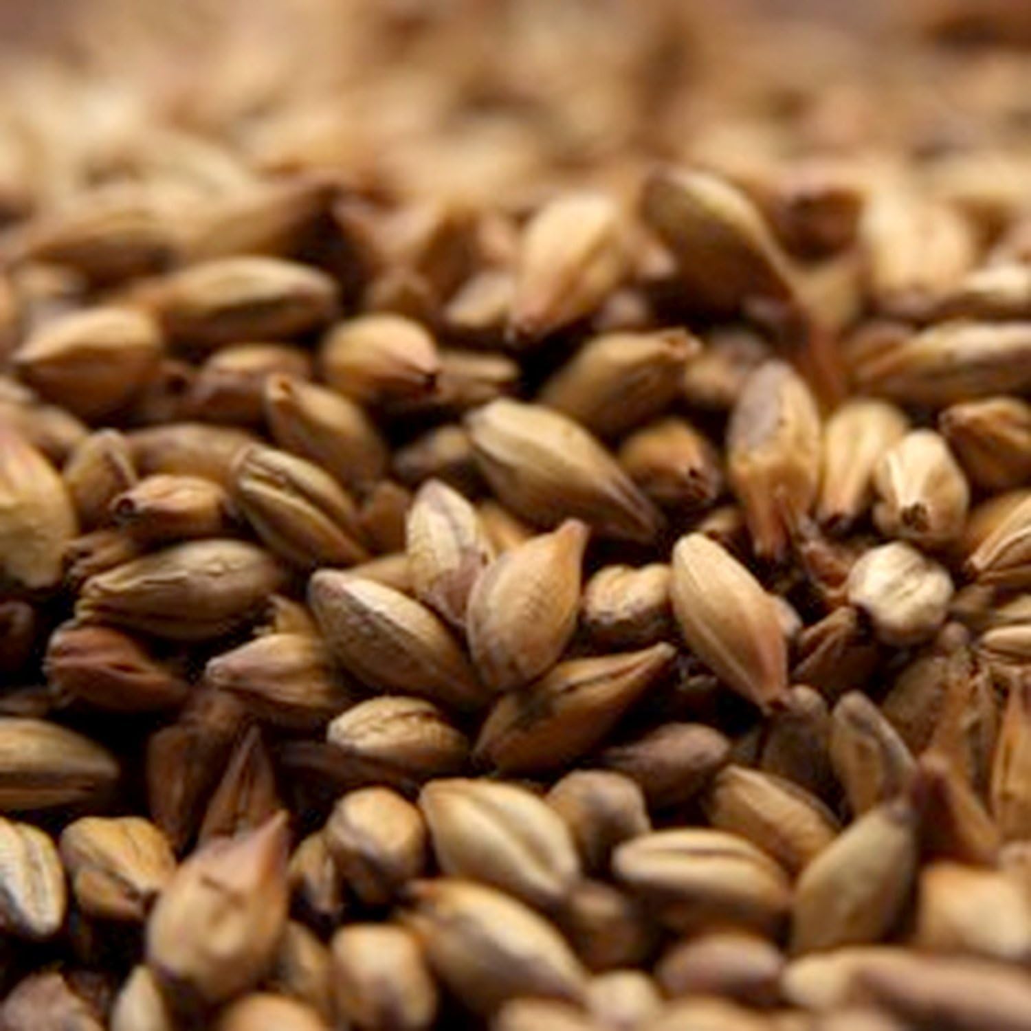 Castle Chateau Special B Malt, 1lb