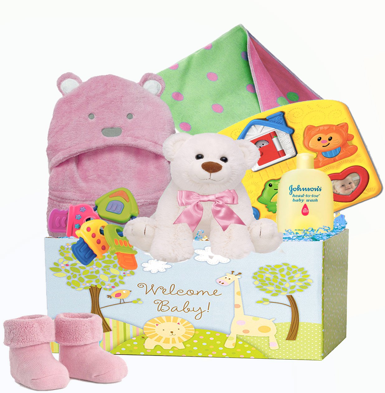 welcome home baby girl gift basket