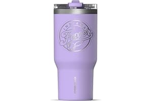 Hydrapeak x WNBA Officially Licensed Indiana Fever 25 oz Tumbler with Sip and Straw Lid, Cup Holder Friendly, Leakproof Insulated Tumbler