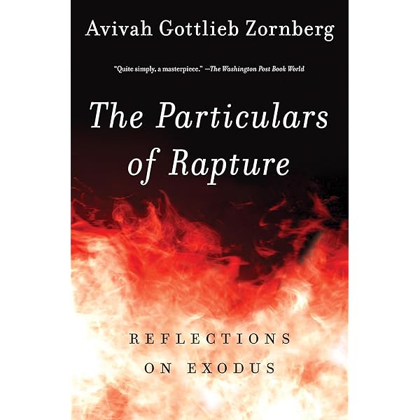 希少本 ヴィルヘルムラウリッツェン BOOK 本 Vilhelm Lauritzen